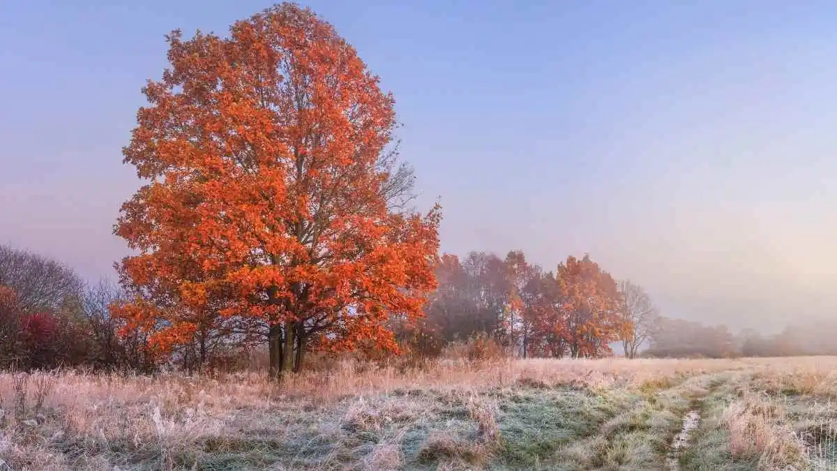 Best Travel Destinations In November