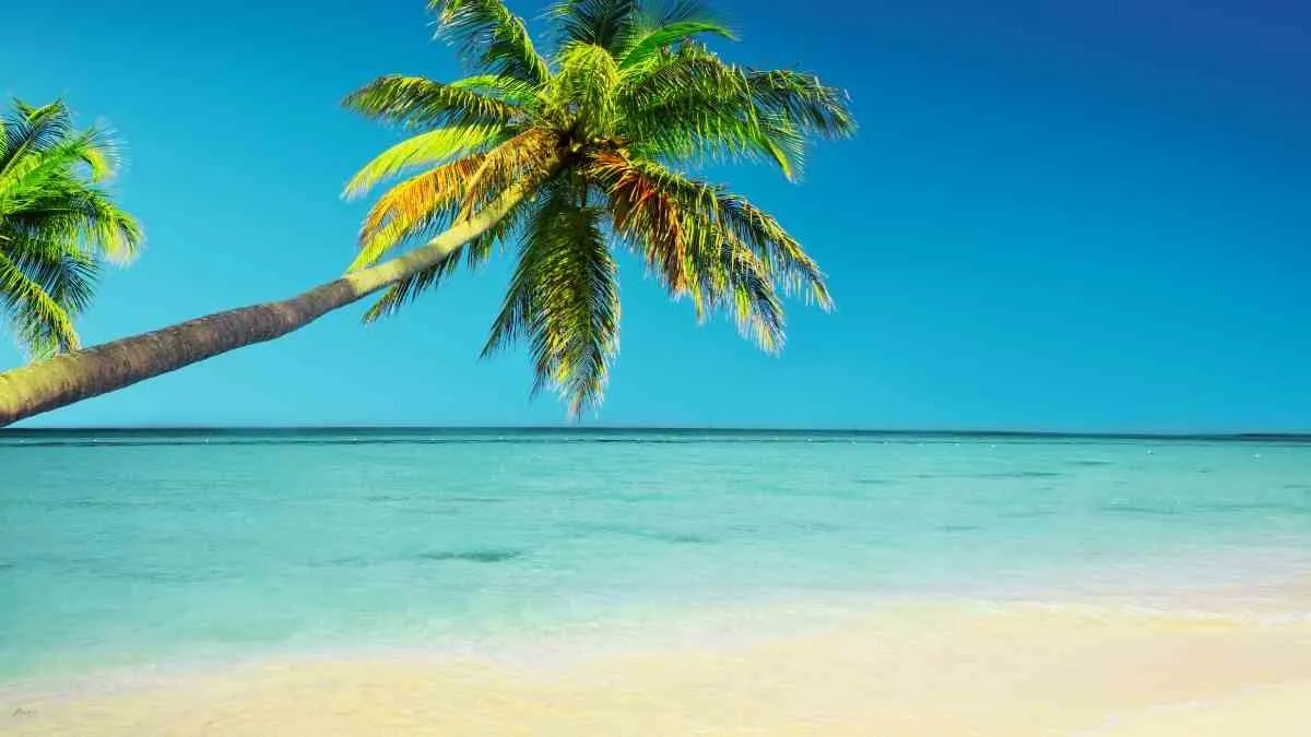 Caribbean Destinations