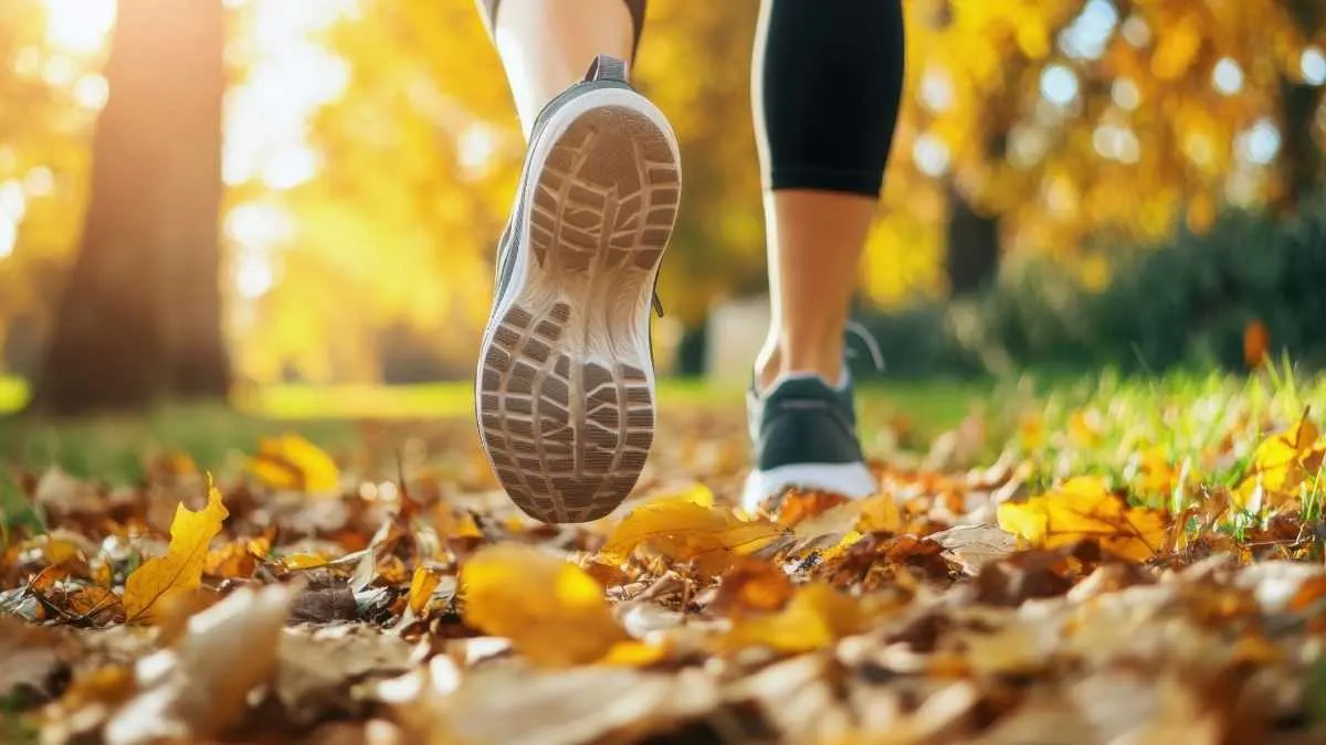 Fall Activities ideas