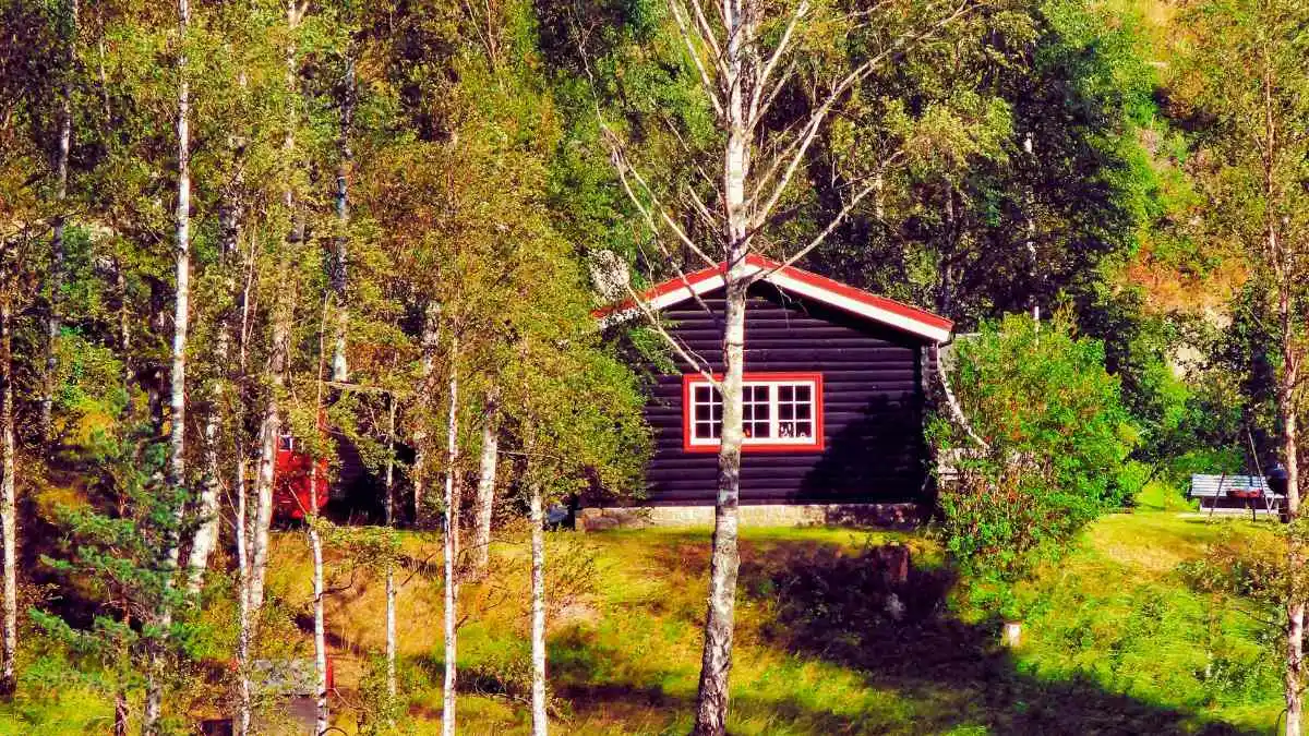 Lakeside Cabin or Cottage