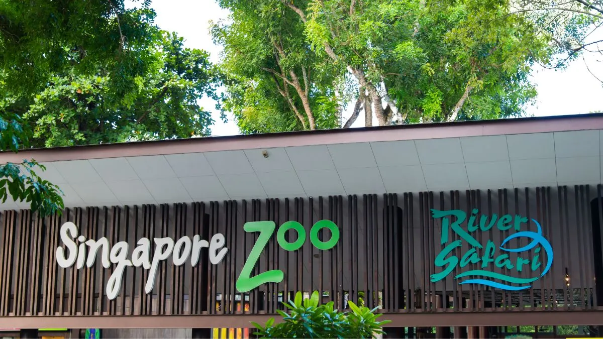 Singapore Zoo and Night Safari