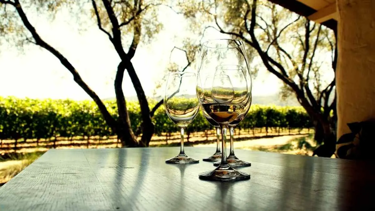 Wine Tasting in Napa Valley