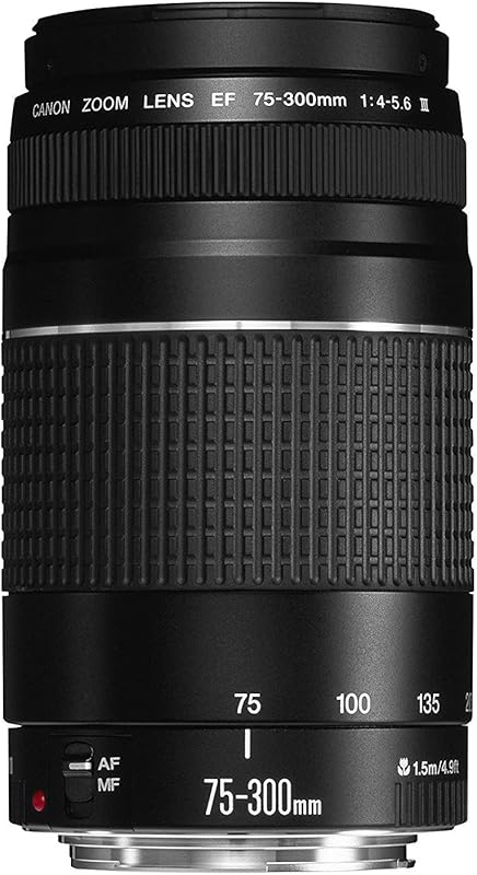 Canon EF 75-300mm f/4-5.6 III Telephoto Zoom Lens for Canon SLR Camera