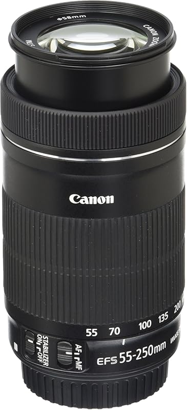 Canon EF-S 55-250mm F4-5.6 IS STM Telephoto Lens in Black